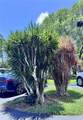1800 Andrews Ave - Photo 34