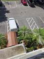 9311 Orange Grove Dr - Photo 13