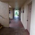 6870 Royal Palm Blvd - Photo 6