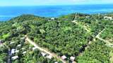  Crawfish Rock Rd & Palmito Bay - Photo 4