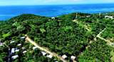  Crawfish Rock Rd & Palmito Bay - Photo 5