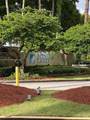 12161 135th Ter - Photo 28