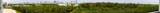 15051 Royal Oaks - Photo 14