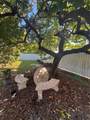 9433 17th St - Photo 38