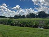 2471 82nd Ave - Photo 3