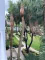3610 Yacht Club Dr - Photo 10