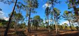 17923 298 St - Photo 7