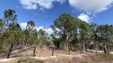 17975 298 St - Photo 2