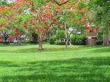 11543 109th Rd - Photo 34
