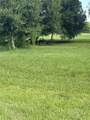 357 Horse Club - Photo 13