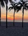 1500 Ocean Dr - Photo 24