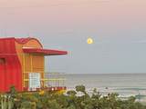 1155 Biscayne Point Rd - Photo 21