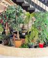 4770 21st St - Photo 43