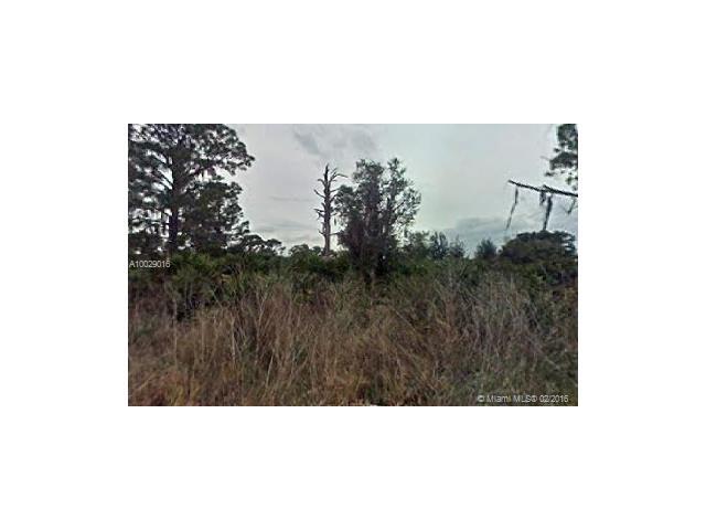 2613 Puffin Street - Photo 1