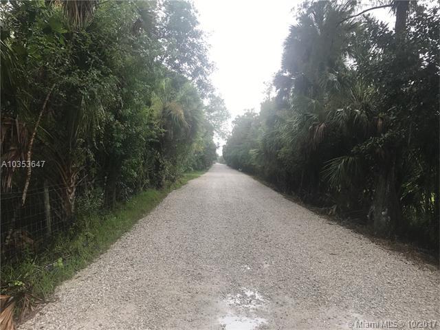 1019 Shady Ln - Photo 1
