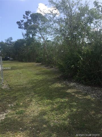236 ST 125 AVE - Photo 1