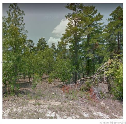 7 Lone Pine - Photo 1
