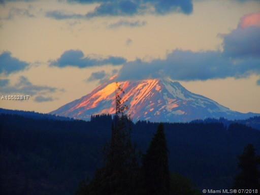 4525 Alpenglow Drive Lot 8 - Photo 1