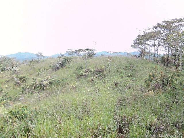 0 0 - Photo 1