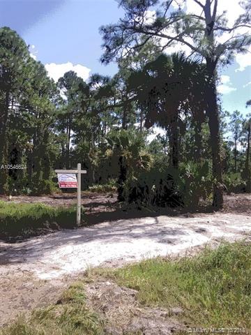 654 Appaloosa Avenue - Photo 1