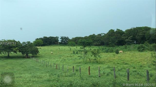 GUANACASTE Guanacaste - Photo 1