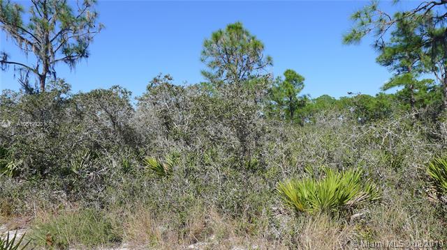 6519 Palma Ceia Ave - Photo 1