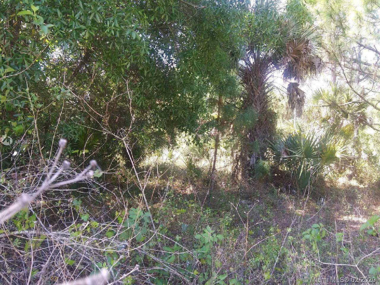 330 Isora Street - Photo 1