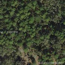 270 Bluffwoods Ter - Photo 1
