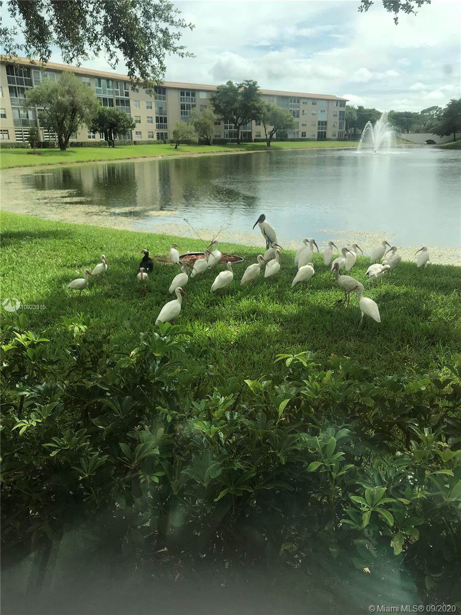 1704 Andros Isle - Photo 1
