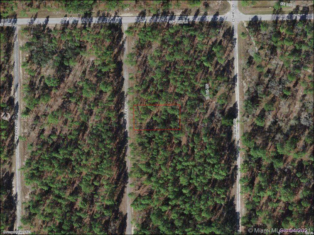 Lot 63 133rd Ter - Photo 1