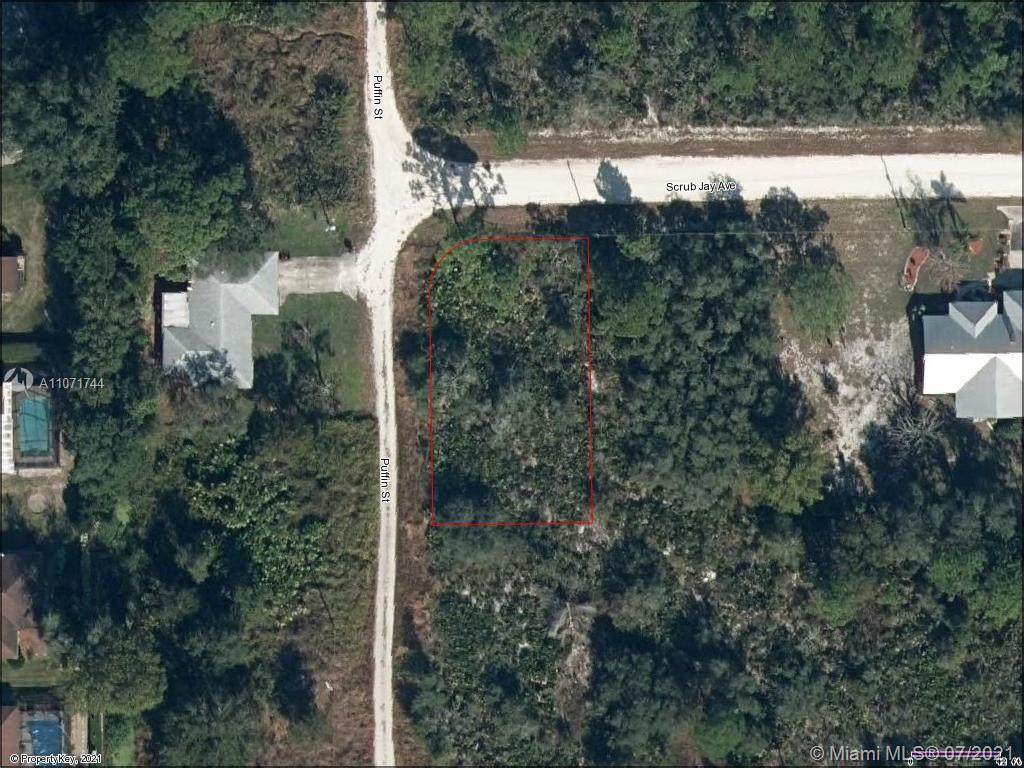 350 Scrub Jay Ave - Photo 1