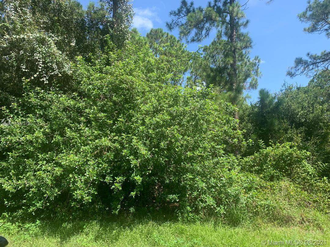 315 Avenida Del Sur - Photo 1