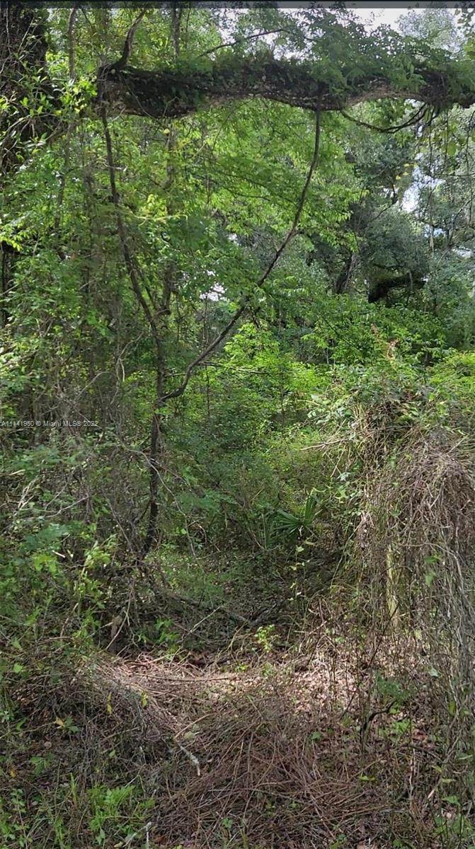 TBD Ne 262 Ave. - Photo 1
