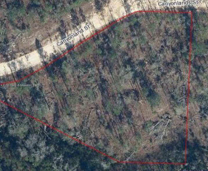L-28 Canyonlands St - Photo 1