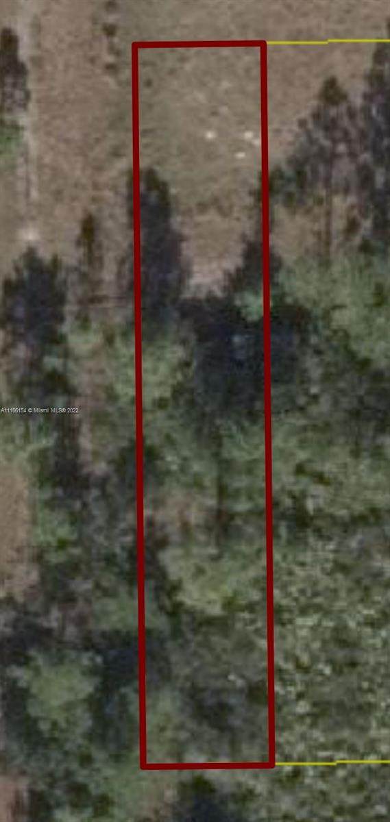 NE 366TH Trl - Photo 1
