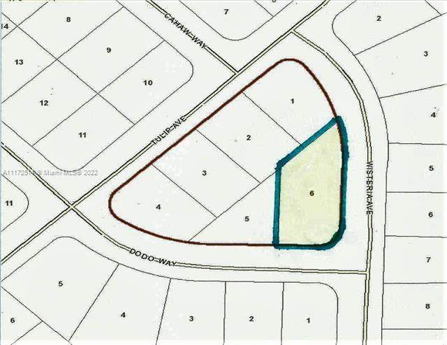 0 Dodo Way Wisteria Ave Crestview - Photo 1