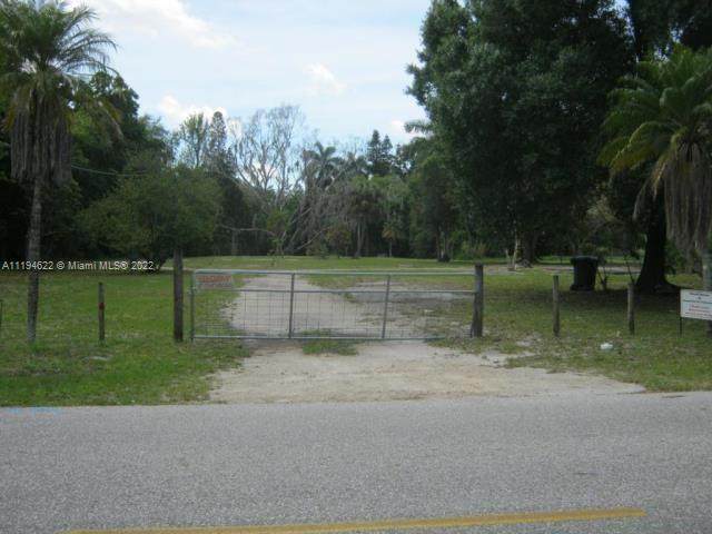 3644 Marion Street - Photo 1