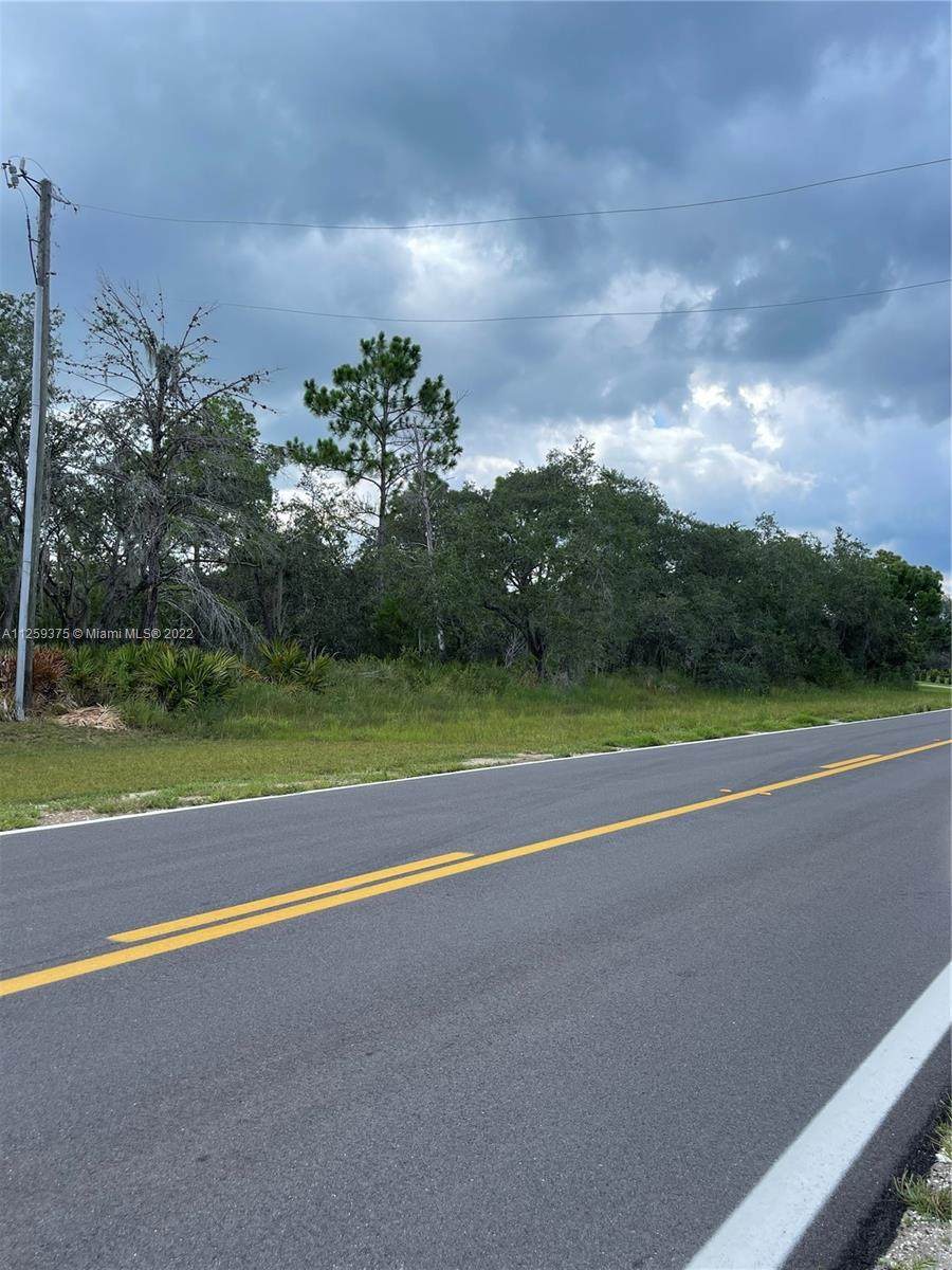 10525 Orange Blossom - Photo 1