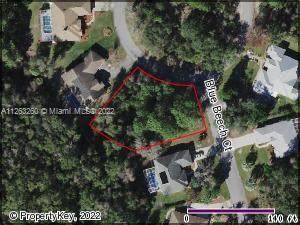6 Blue Beech Ct - Photo 1