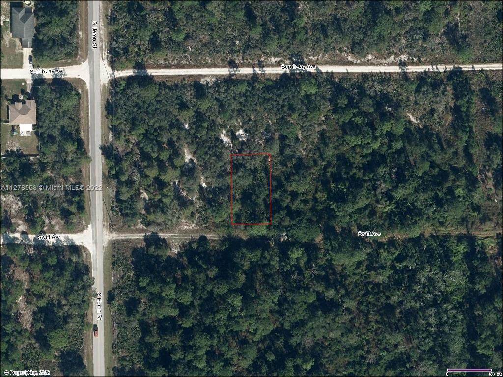 255 Swift Ave - Photo 1