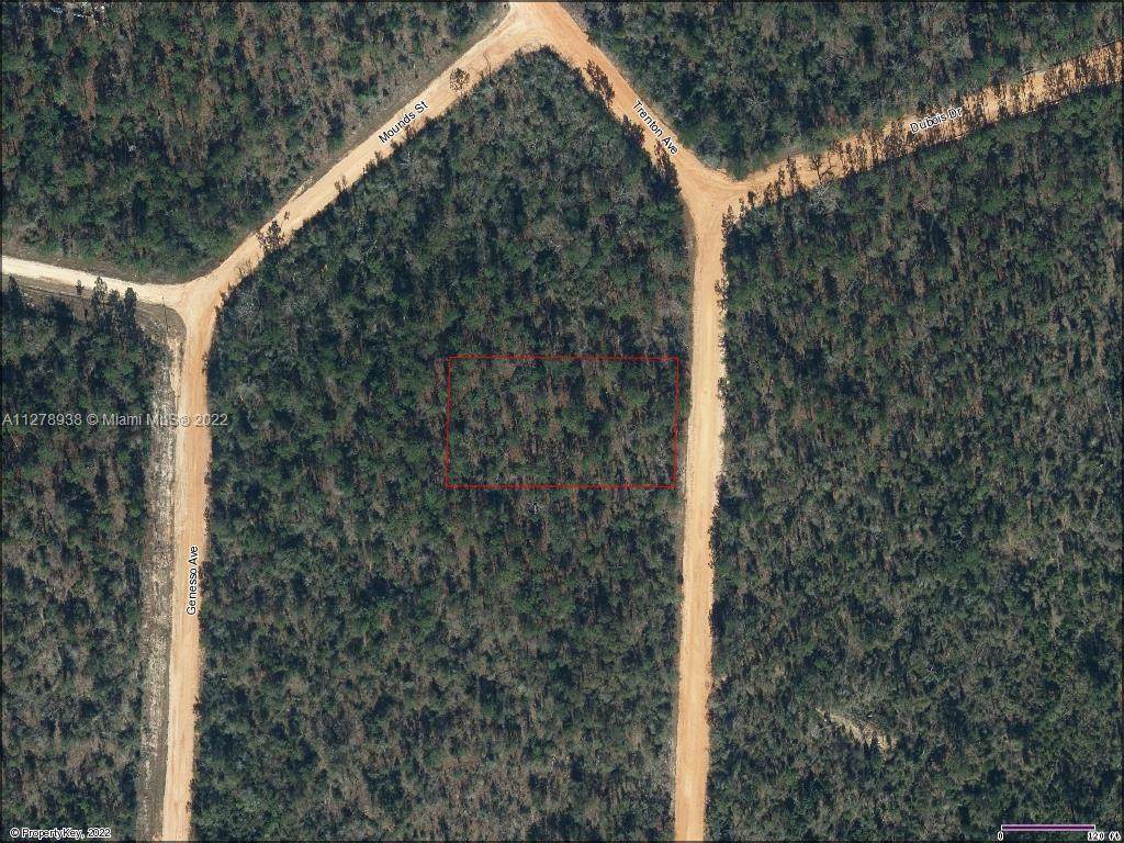 Lot 19 Trenton Ave - Photo 1