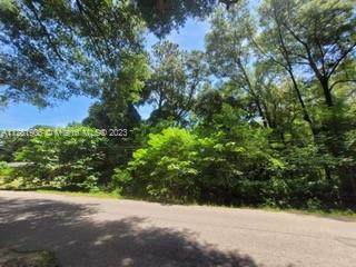 0 Vacant - Photo 1