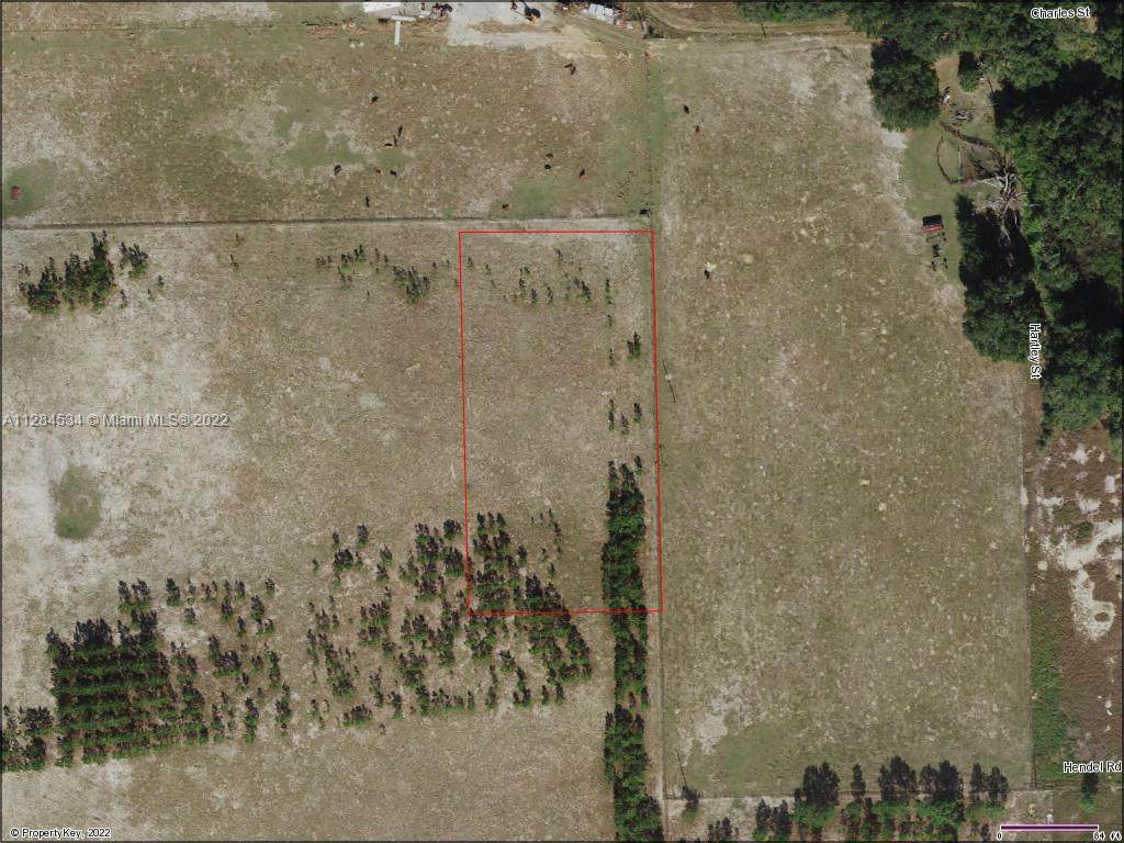 0 Close To Beatty Rd - Photo 1
