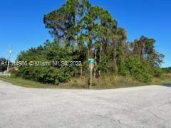 301 Biltmore St - Photo 1