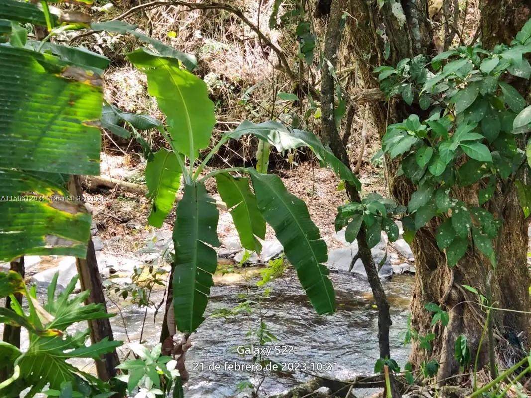 no # Puente De Piedra Y Tacares Alajuela Grecia C R - Photo 1