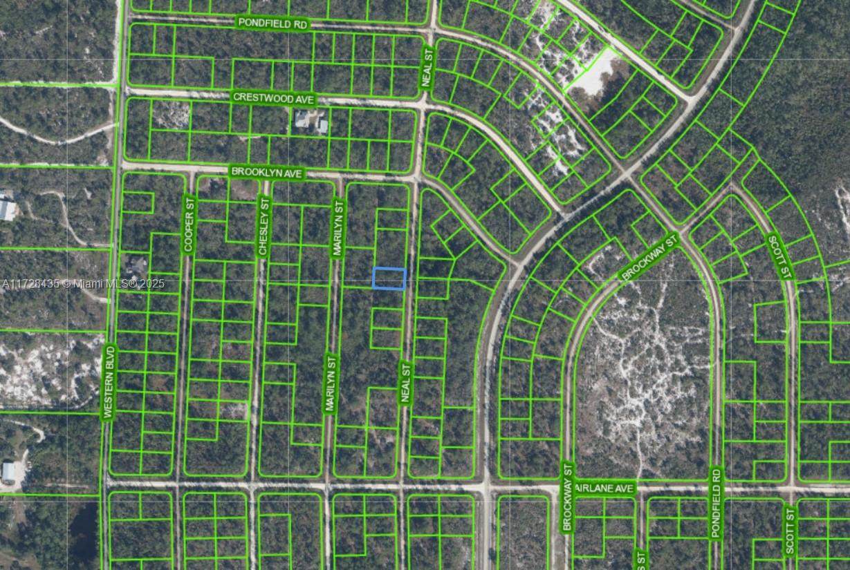 718 Neale Street - Photo 1