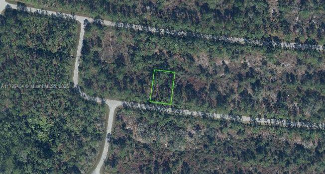 8024 Marin Street - Photo 1