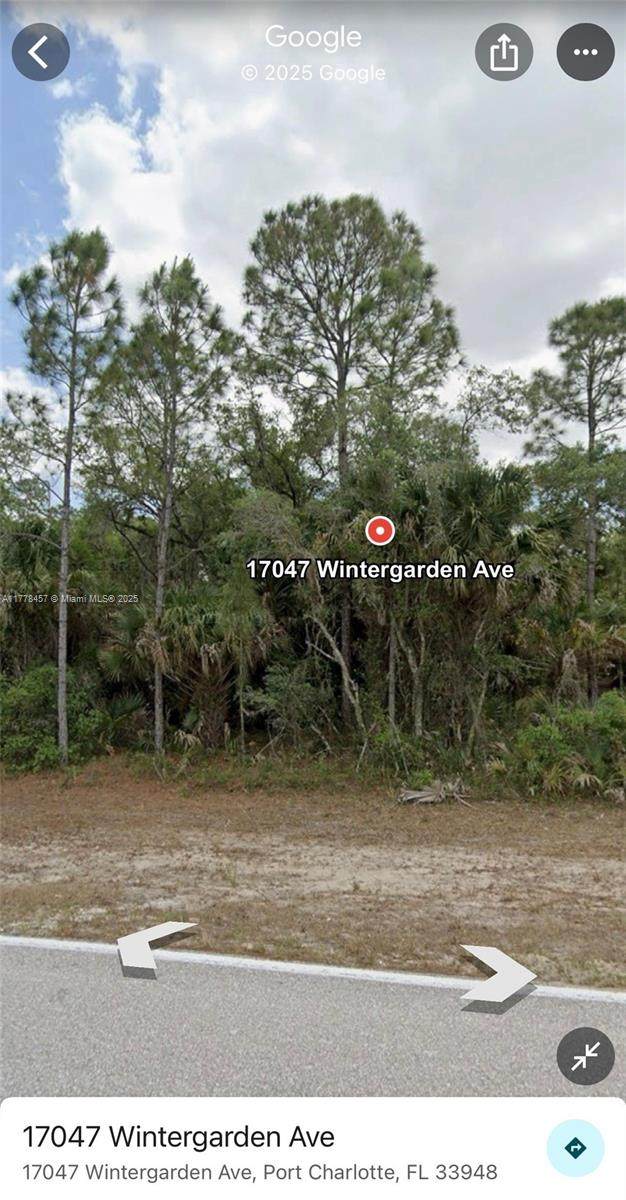 17047 Wintergarden - Photo 1