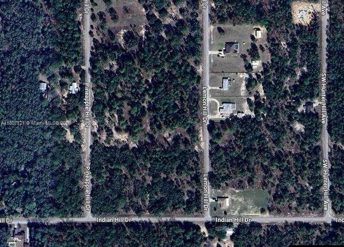 0 Lemon Hill Dr - Photo 1