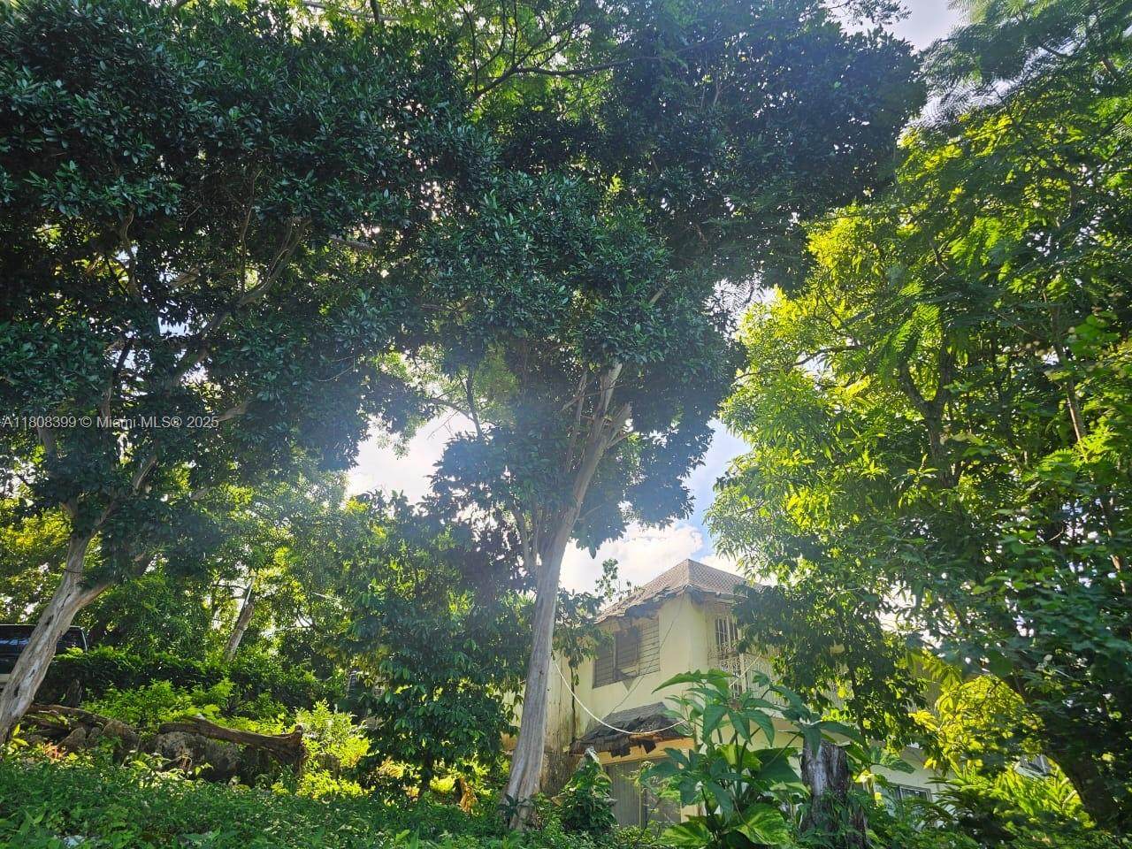 00 Estate With Cottages – Boscobel Beach, St. Mary, J - Photo 1